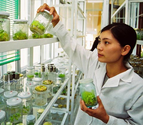 Chính[-]phủ[-]ban[-]hành[-]Nghị[-]định[-]về[-]quản[-]lý[-]tiếp[-]cận[-]nguồn[-]gen[-]và[-]chia[-]sẻ[-]lợi[-]ích[-]từ[-]việc[-]sử[-]dụng[-]nguồn[-]gen
